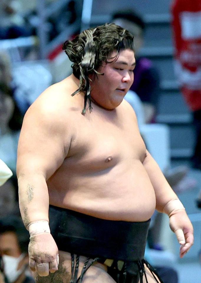 　霧島を破り、まげがほどけた伯桜鵬