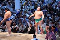 　大の里（左端）に押し出しで敗れ悔しがる一山本（撮影・開出牧）