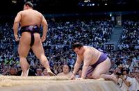 　草野（左）に寄り切りで敗れた安青錦