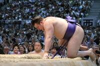 　草野に寄り切りで敗れた安青錦