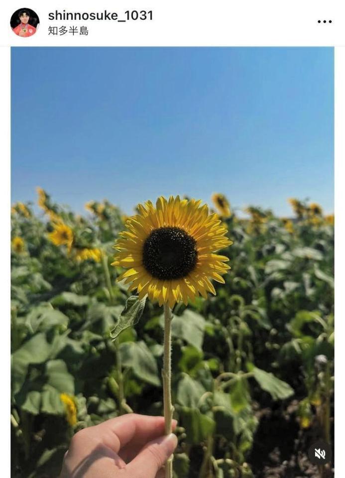 　岡慎之助のインスタグラム＠ｓｈｉｎｎｏｓｕｋｅ＿１０３１から