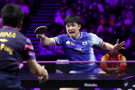 　気合の入る張本智和（撮影・佐々木彰尚）