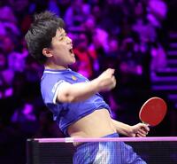 　４強進出に叫ぶ張本智和（撮影・佐々木彰尚）