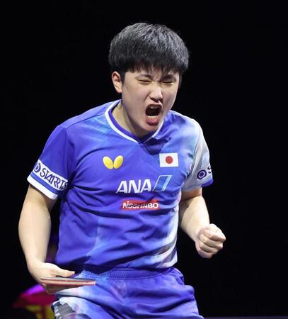 　気合が入る張本智和（撮影・佐々木彰尚）