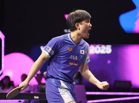 　第５ゲーム、叫ぶ張本智和（撮影・佐々木彰尚）