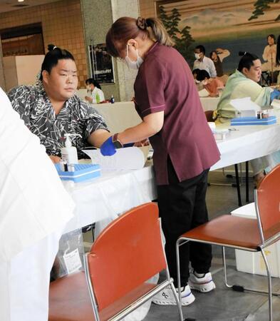 　採血を受ける大栄翔