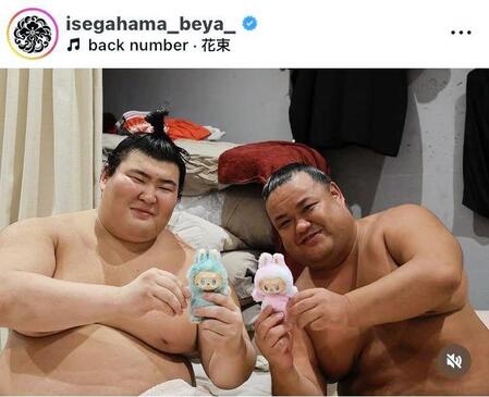 伊勢ケ浜部屋のインスタグラム（＠ｉｓｅｇａｈａｍａ＿ｂｅｙａ＿）から