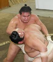 横綱審議委員会の稽古総見で汗を流す豊昇龍（代表撮影）
