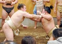 　秋場所に向けて稽古する安青錦（左）と藤ノ川
