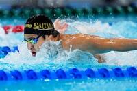 　成年男子２００メートル個人メドレー予選で敗退した埼玉・瀬戸大也のバタフライ
