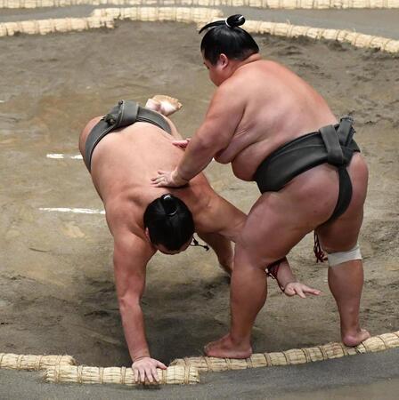 朝阪神が虎最速Ｖ喜ぶ、日本シリーズ「できればソフトバンクと戦ってほしい」大相撲で随一の虎党