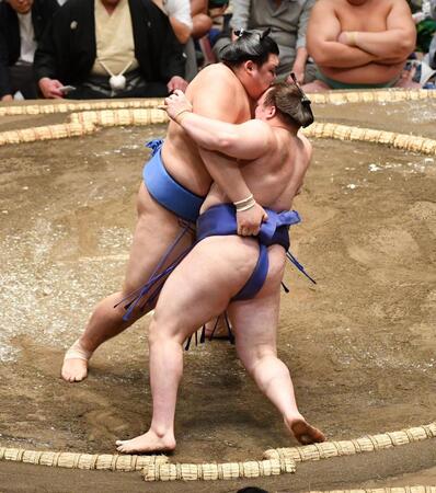 　安青錦（手前）を寄り倒しで下した大の里（撮影・開出牧）