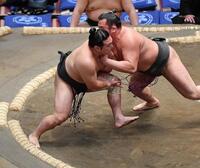 　日向龍（右）の攻めを土俵際で耐える炎鵬（撮影・開出牧）