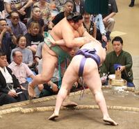 　安青錦（右）に押し出しで敗れた琴桜（撮影・佐々木彰尚）