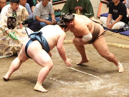 　荒篤山（右）と頭が激突する白熊