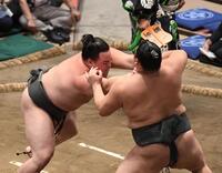 　若雅（右）を押し出しで破った丹治（撮影・園田高夫）