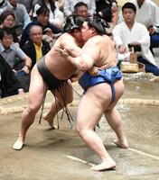 　若元春（左）を寄り倒しで下し、１敗を守った大の里（撮影・佐藤厚）