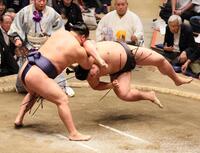 　若元春をすくい投げで破る豊昇龍（左）＝撮影・石井剣太郎