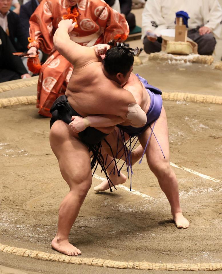 　伯桜鵬を寄り切りで破る安青錦（奥）＝撮影・石井剣太郎