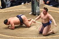 　豊昇龍を破った安青錦（撮影・持木克友）