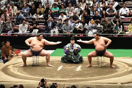 　下段で構える大の里（左）と豊昇龍（右）＝撮影・佐藤厚