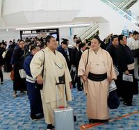 　湘南乃海（手前左）、佐田の海（同右）らロビーに集まった力士たち