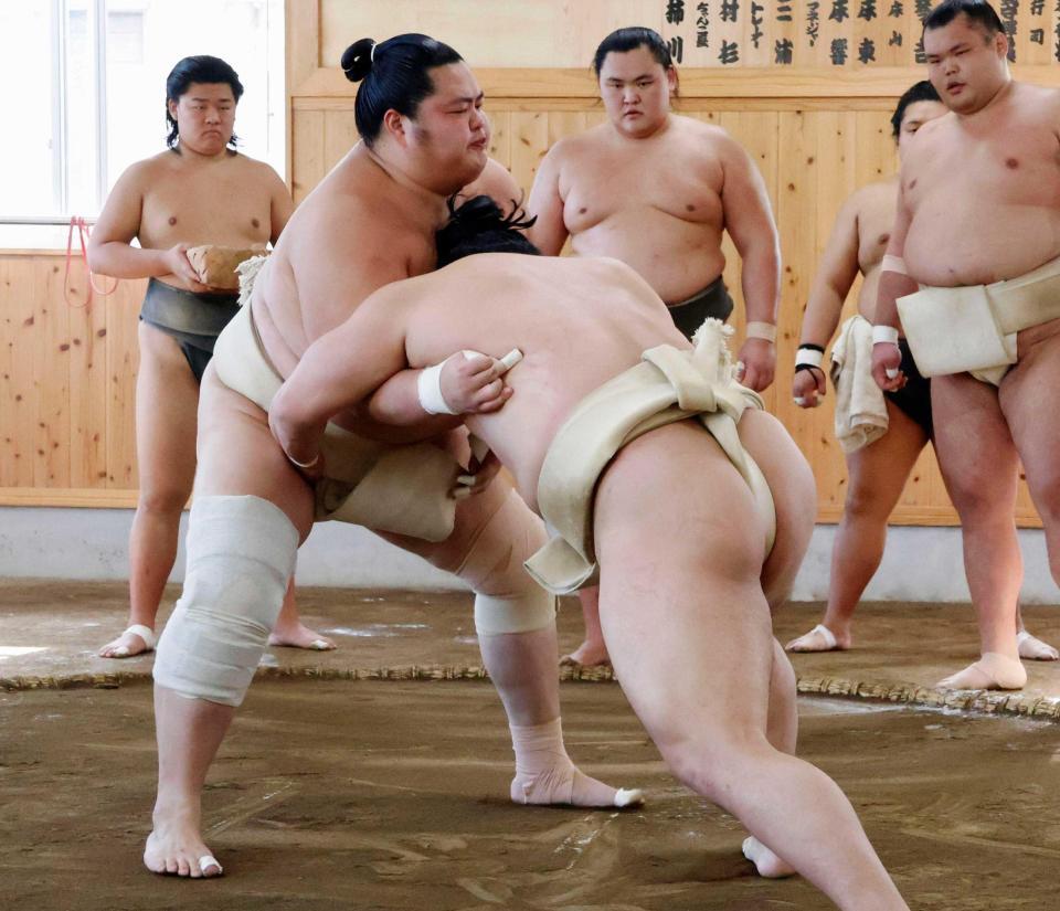 　本格的に稽古を再開した琴桜（左）