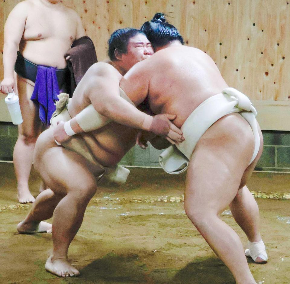 　稽古をする伯桜鵬（左）