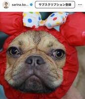 古賀紗理那さんインスタグラム（ｓａｒｉｎａ．ｋｏｇａ）より