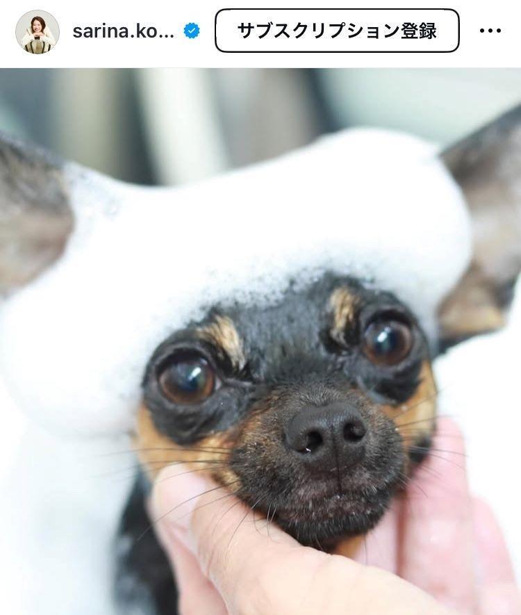 古賀紗理那さんインスタグラム（ｓａｒｉｎａ．ｋｏｇａ）より