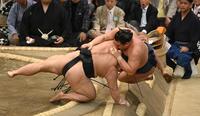 　豊昇龍（右）が寄り倒しで伯桜鵬に敗れる