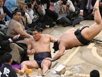 　豊昇龍（左手前）は寄り倒しで伯桜鵬に敗れる