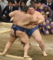 　大の里（右）が寄り切りで高安を下す