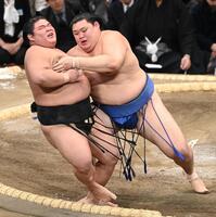 　大の里（右）は寄り倒しで伯桜鵬を破る