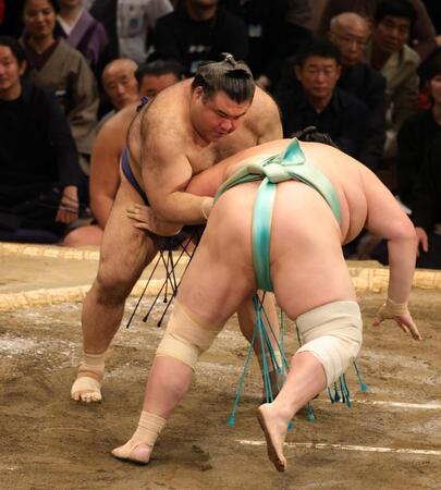 　内無双で琴桜を破った高安（撮影・坂部計介）