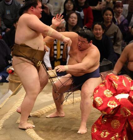 　王鵬を寄り切る平戸海（撮影・坂部計介）