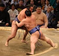 　土俵際に若隆景を追い込む豊昇龍（撮影・坂部計介）