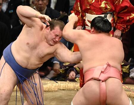 　安青錦（左）が厳しく攻め、寄り切りで宇良を下す