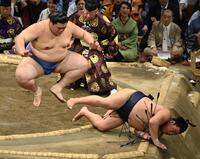 　大の里（左）が押し倒しで平戸海を下す