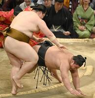 　王鵬（左）がはたき込みで伯桜鵬を下す