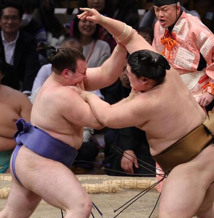 　王鵬（右）と競り合う安青錦