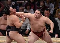 　霧島（左）を攻める隆の勝