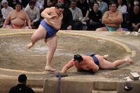 　大の里（左）がはたき込みで玉鷲を下す