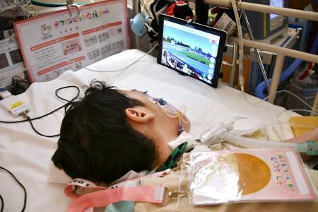 　デフリンピック会場にいる分身ロボットを通じて競技を観戦する星加琉翔さん＝１７日、東京都小平市