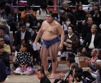 　欧勝馬を下し懸賞金を手に引き揚げる大の里