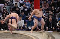 　義ノ富士（左）に押し出しで敗れる大の里