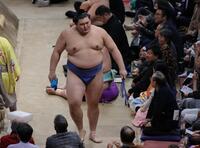 　義ノ富士に敗れ引き揚げる大の里