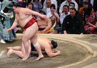　引き落としで隆の勝（手前）に敗れた大の里