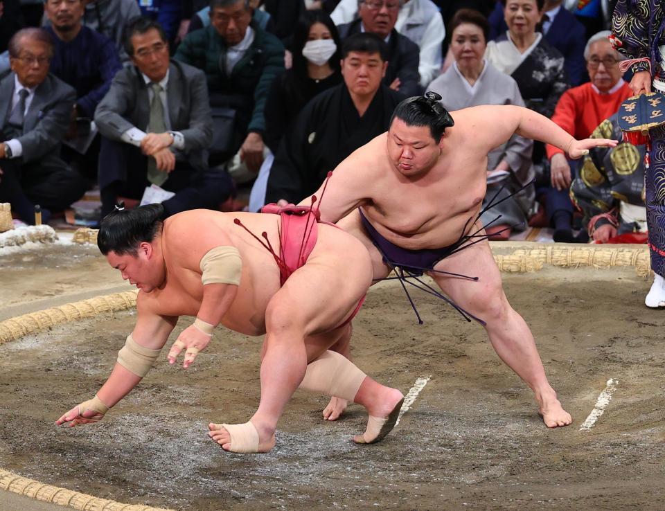 　美ノ海（右）が突き落としで大栄翔を下す