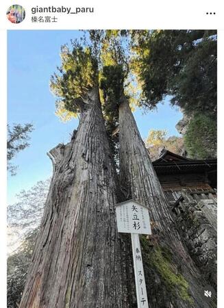 　北口榛花のインスタグラム＠ｇｉａｎｔｂａｂｙ＿ｐａｒｕから